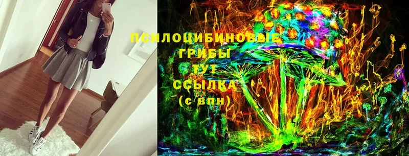 Галлюциногенные грибы Cubensis  Билибино 